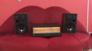 Diatone DS-200Z + Technics SE-A5