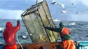 Лов краба в Беринговом море