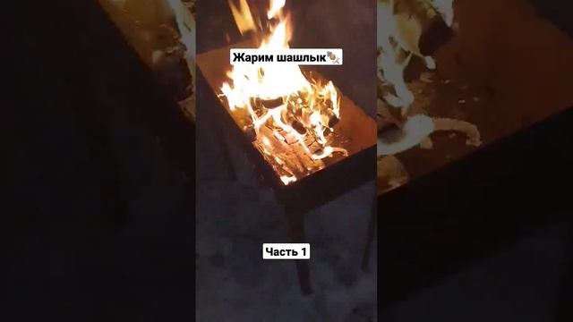 Жарим вкусный шашлык? #шашлык #жарим #мясо #жариммясо #fy #fyp #rec #какприготовить #рецепт #дача смотреть онлайн