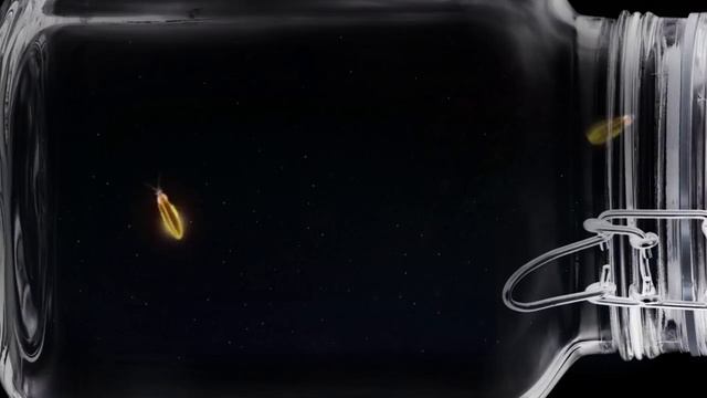 CAT GAMES - ? Fireflies in a Jar (Entertainment video for cats to watch) 60FPS 4K смотреть онлайн