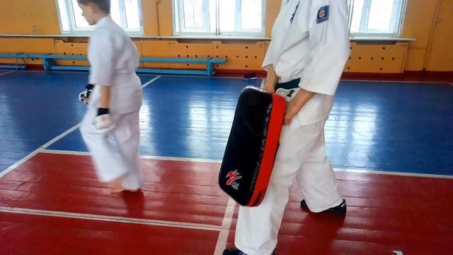 Маваси-гери гедан (Лоу Кик) в Кёкусинкай карате смотреть онлайн