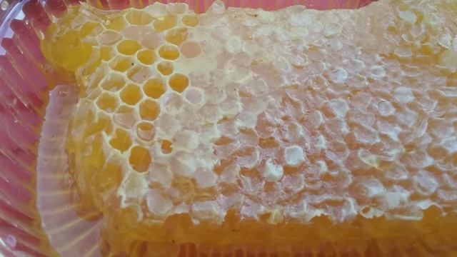 Обожаю мёд в сотах #мед #соты #вкусно #архипка #море #2021 #сладкий смотреть онлайн