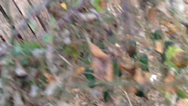 Which craft or what смотреть онлайн