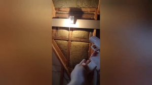 пистолет из фанеры  п250 из ксго,  п350 из стандофф2 из дерева