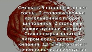 Чистим сосуды головного мозга - лучшие рецепты