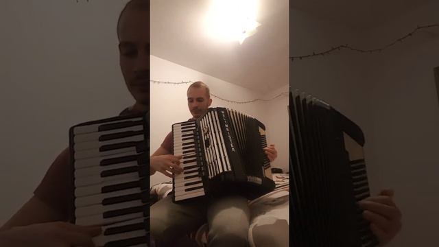 Hora moldoveneasca acordeon - fragment LIVE