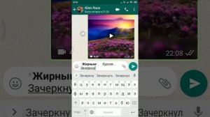 Как поменять шрифты в WhatsApp, если вам надо привлечь внимание или дать задание человеку