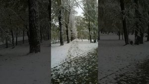 Новосибирск. Октябрь. Утро после предупреждения МЧС.