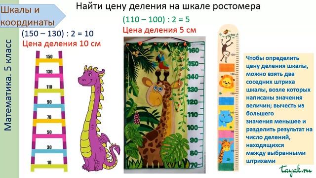 Шкалы и координаты Математика 5 класс смотреть онлайн