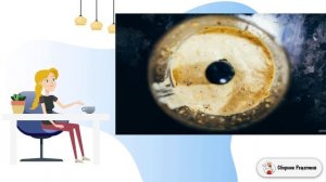 Салат из брокколи и стручковой фасоли. Рецепт классический пошаговый