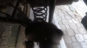 Chevrolet. Aveo. Замена задних тормозных колодок и цилиндра.