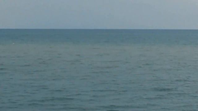 Прыжок дельфина смотреть онлайн