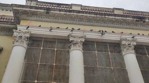 Chowmahalla Urf Nizaam Palace Never Before Walk Around #vlog #chowmahallapalace