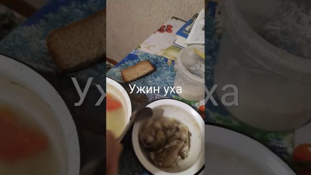 Ужин уха из карася и плотвицы?