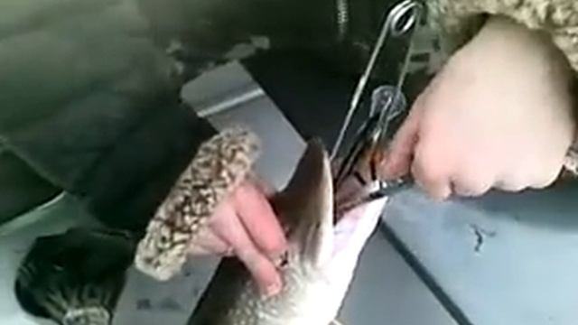 под Киевом. троллинг. открытие 2011 смотреть онлайн