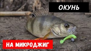 Ловля окуня на микроджиг.