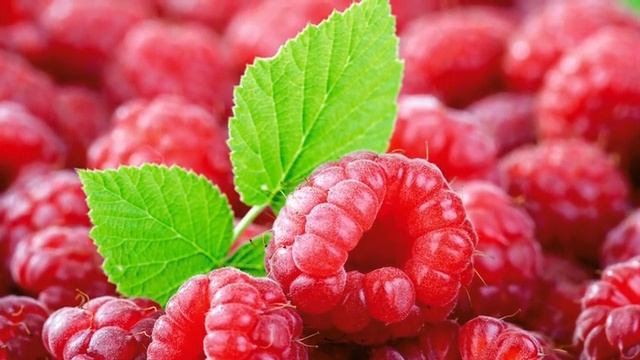 малина польза смотреть онлайн