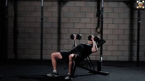 Жим гантелей сидя на наклонной скамье 45