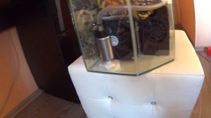 ИММЕРСИОННОЕ ОХЛАЖДЕНИЕ, ASIC S9 В В МАСЛЕ !