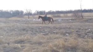 Моё первое занятие в конном клубе . видео номер 1 .