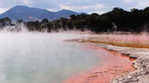 1 Hour of Koyasan: Reiki Sound Healing by Deuter | FULL ALBUM