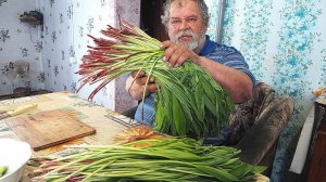 ЧЕРЕМША ЧТО С НЕЕ МОЖНО ПРИГОТОВИТЬ И ДЛЯ ЧЕГО Я СОБИРАЮ СЕМЕНА, ВКУСНЫЙ САЛАТ С ЧЕРЕМШОЙ И СМЕТАНОЙ