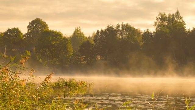 Дикий медведь принес на крыльцо зимовья НОВОРОЖДЕННОГО, завернутого в лохмотья смотреть онлайн