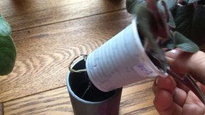 Подготовка фиалок к зиме.