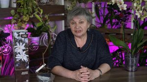 Магнолия ? Экзотика в вашем саду ? Посадка и уход
