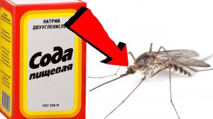 Как избавиться от комаров на квартире За 3 Секунды .!!!..