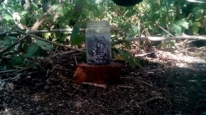 Что будет если залить в воду свинец