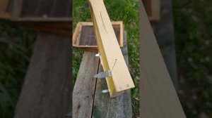 Вывод маток изолятор (Дополнение к 1/4 ) Цебро В.О.