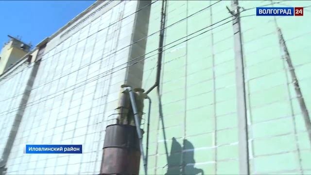Цена российской пшеницы побила исторический максимум