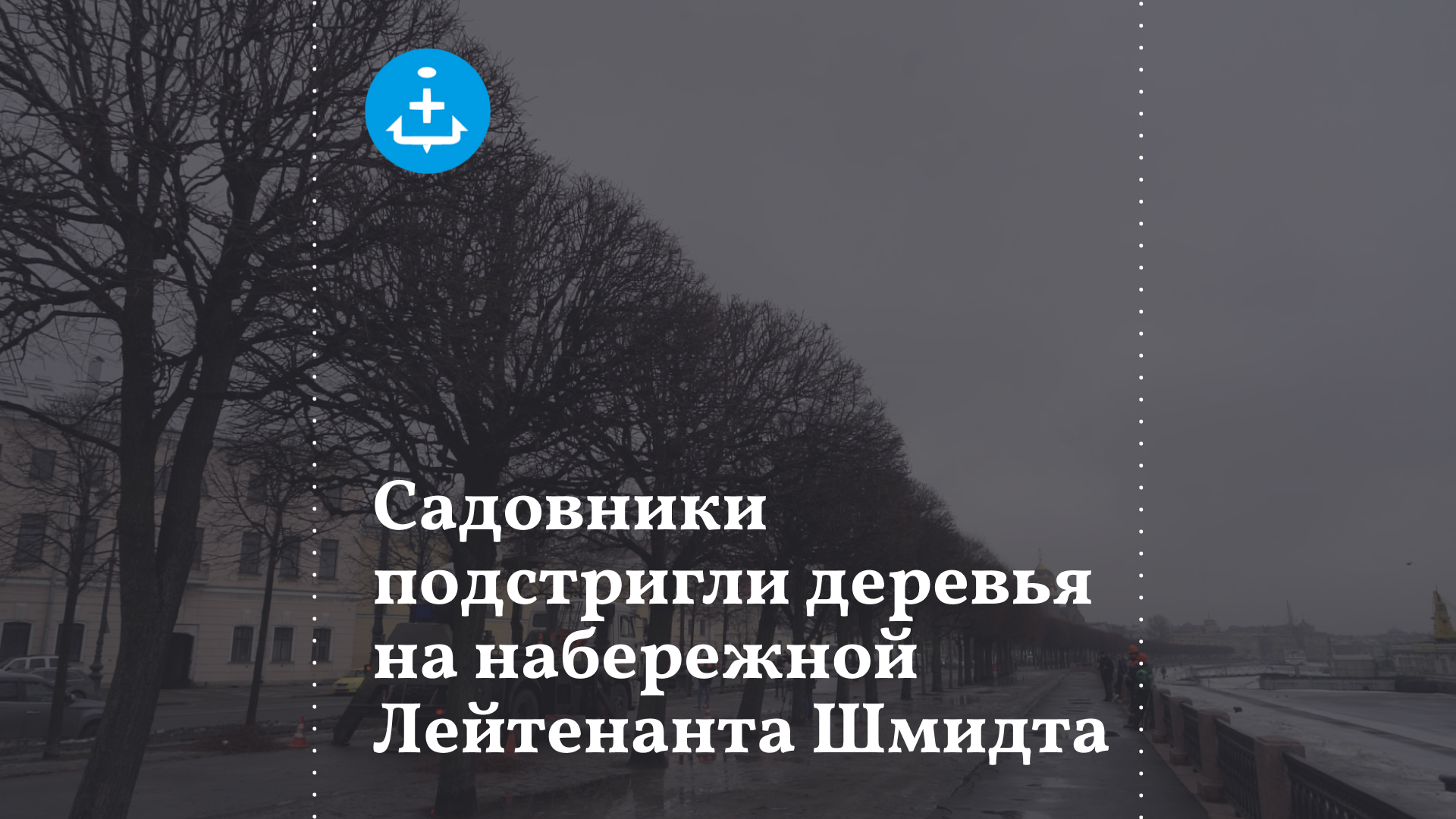 Садовники подстригли деревья на набережной Лейтенанта Шмидта