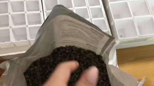 Горшочки и грунт для моих суккулентов. Лечуза Пон