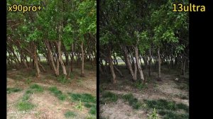Xiaomi 13 ultra vs vivo X90 Pro plus Camera Comparison!