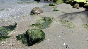 море релакс камни