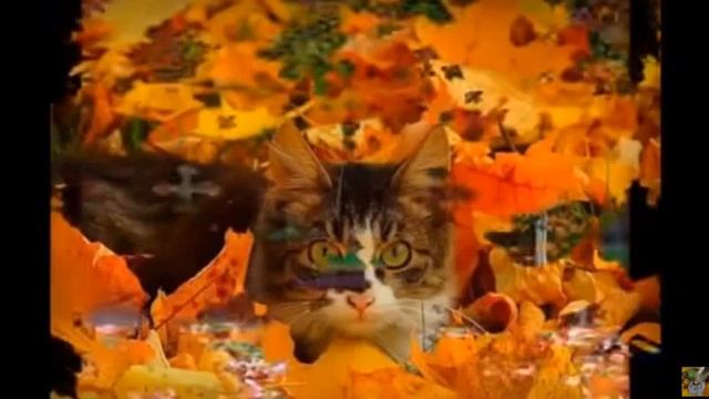 ФЕДОР ТЮТЧЕВ - Листья..., муз., исп. #СамуилФрумович
