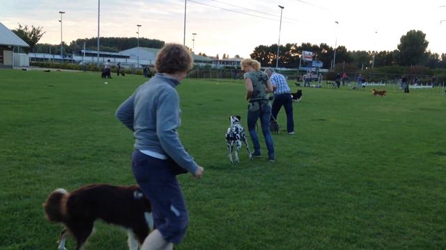 club GG - KC Delft смотреть онлайн