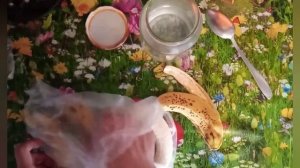 как вывести ОСУ с дачного участка