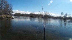 Жор гольца. Ловля гольца на червя и красную икру с отводным поводком