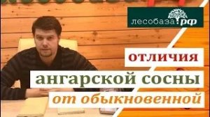Вагонка штиль разница между ангарской и обыкновенной сосной