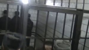 Тюрьма Чёрный дельфин пожизненного заключения или жизнь раком!