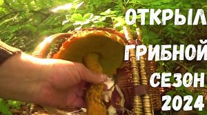 ОТКРЫТИЕ ГРИБНОГО СЕЗОНА 2024 во Владивостоке