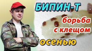 Осенняя обработка пчёл от варроатоза препаратом Бипин Т на своей пасеке. Борьба с клещом Варроа.mp4