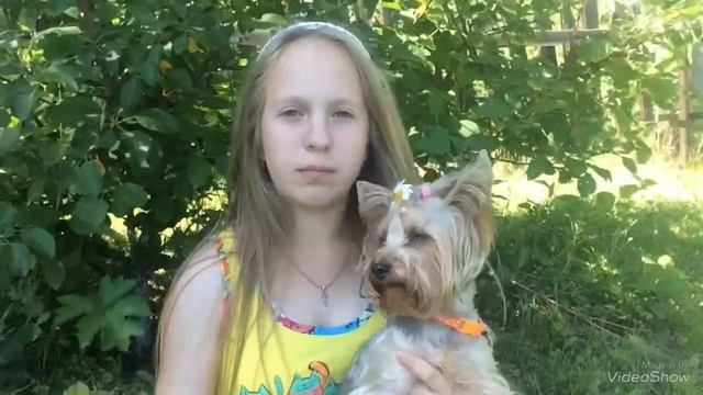 Собака в самолёте, что нужно для перелёта JESSICA YORK смотреть онлайн