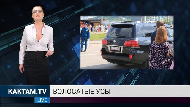 КАКТАМ? Парад уёбков #52 смотреть онлайн