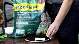 Выбираем грунт для рассады!