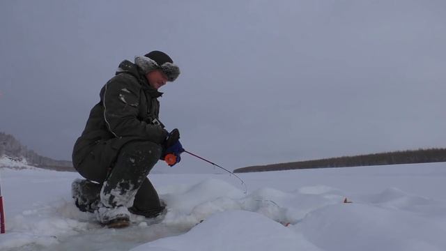 100кг С ОДНОЙ ЛУНКИ!!! ЭТО РЕАЛЬНО!!! Рыбалка, первый лед 2021-2022. смотреть онлайн