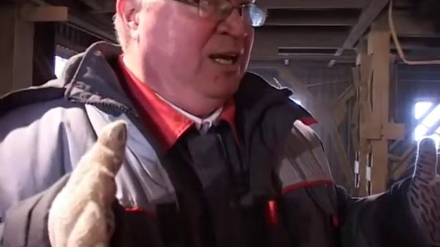 Экскурсия по Алексинскому керамзитовому заводу. смотреть онлайн